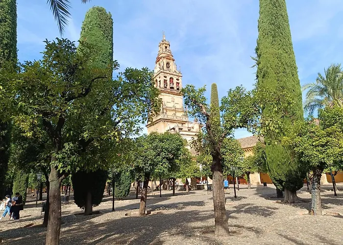 公寓 Casa Alfonso *