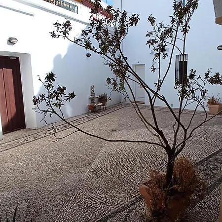 Casa Alfonso Apartment