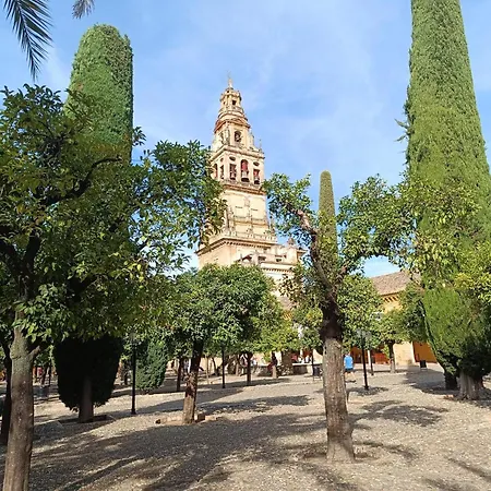 דירה Casa Alfonso *